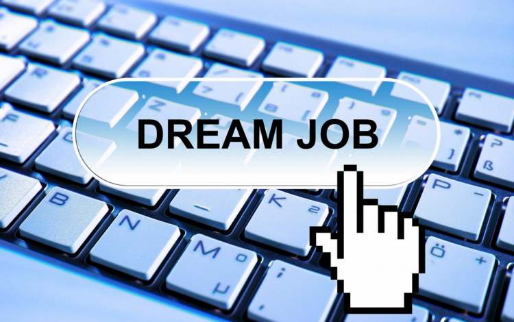 Successful Dream Job Search 2022 + Live Teaching Sessions